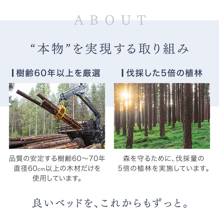 [セミダブル] 3段階高さ調節 ローベッド マットレス付き すのこベッド ボンネルコイル〔11719165〕