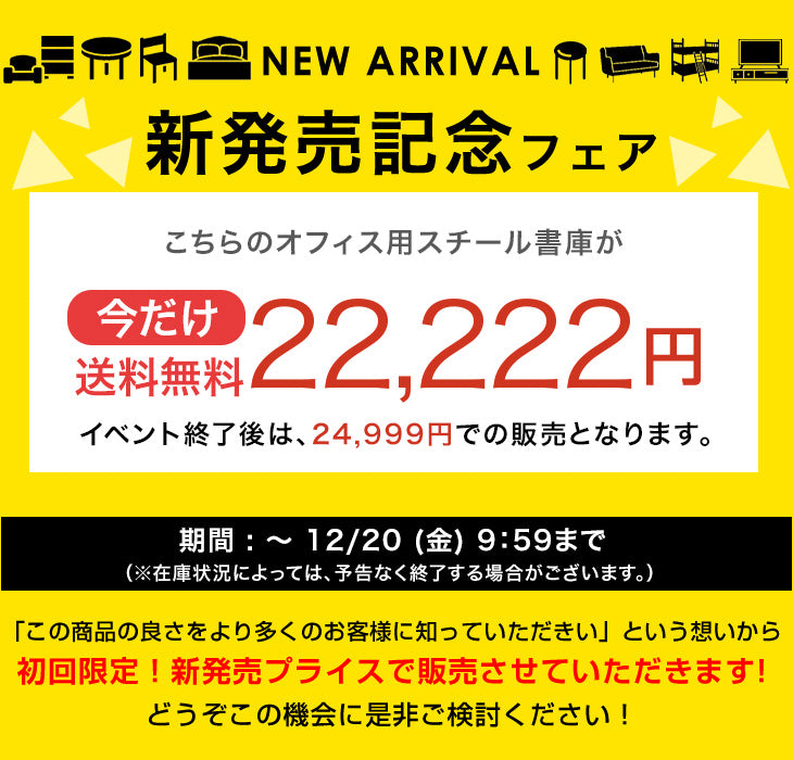 【新発売記念フェア】★法人様限定★ シリンダー錠 スチール 高耐久 扉付き オフィス 書類棚 キャビネット 収納 業務用〔77400020〕