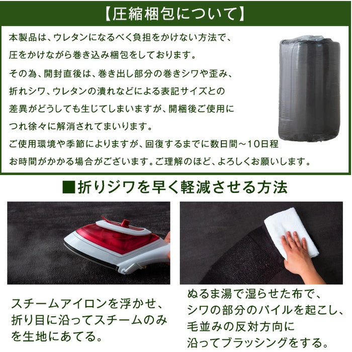 [2畳用] ラグ×ホットカーペット 2点セット軽量 滑り止め付 低反発 極厚 北欧 正方形 オールシーズン 足元暖房 絨毯 ダニ退治 〔21700008〕