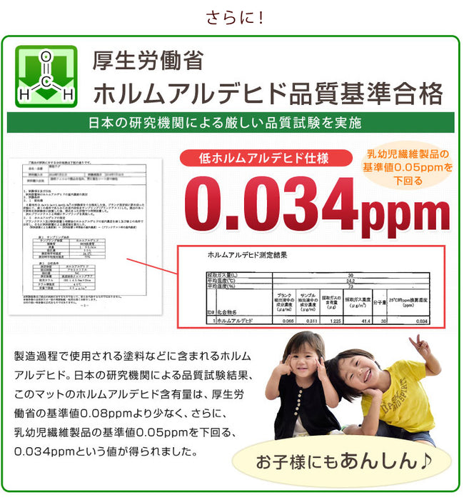 [3畳用] 2点セット ラグ ホットカーペットセット 滑り止め付 洗える マイクロファイバー フランネル ラグ カーペット ラグマット 〔21700003〕