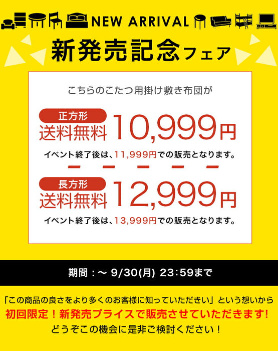 【新発売記念フェア】200×240cm 新素材“エアロゲルα” こたつ布団 掛敷セット 洗える 長方形 正方形 mocoair〔80100115,80100116〕