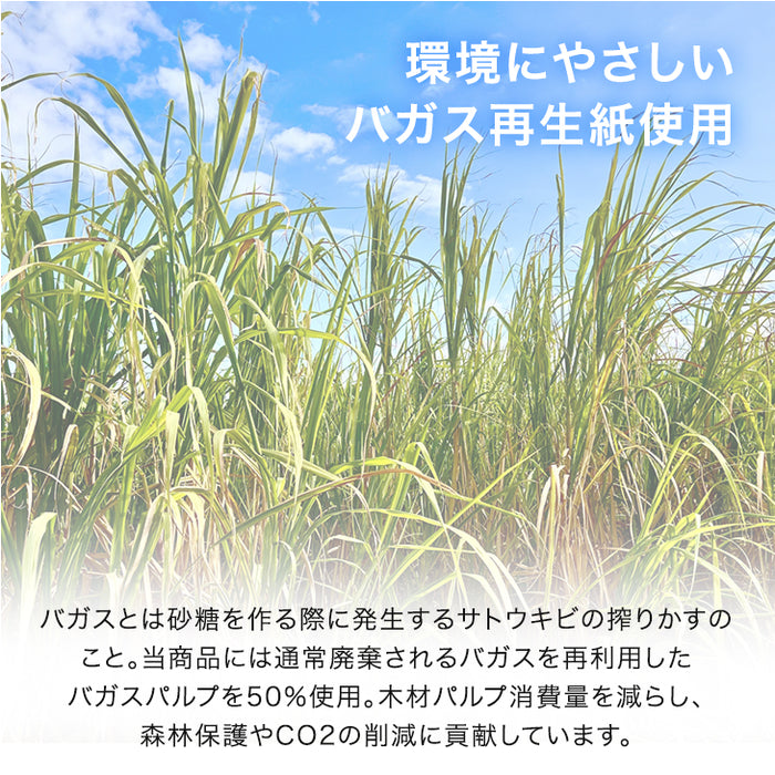 濡らして除菌ドライシート 中判 150枚入 15個セット 個包装 99％ 再生紙 エコ シンプル 破れにくい 衛生 使い捨て 万能 柔らかい 業務用 お徳用  掃除 洗面〔85000000〕