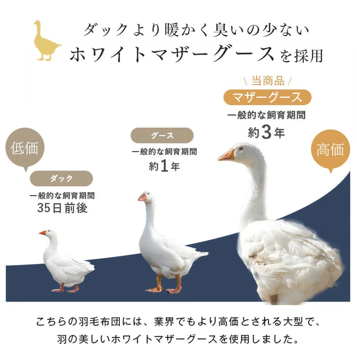 [シングルロング]  羽毛布団 ホワイトマザーグース95％ 440dp 超長綿60サテン 国産 綿100% 綿100 抗菌 暖かい 羽毛掛け布団〔39100144〕