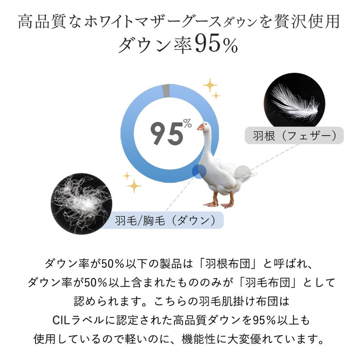 [シングルロング・2枚組]ポーランド産 マザーグース 95% 洗える ダウンケット 日本製 肌掛け布団 羽毛肌掛け布団 夏 夏用 布団〔10119275〕