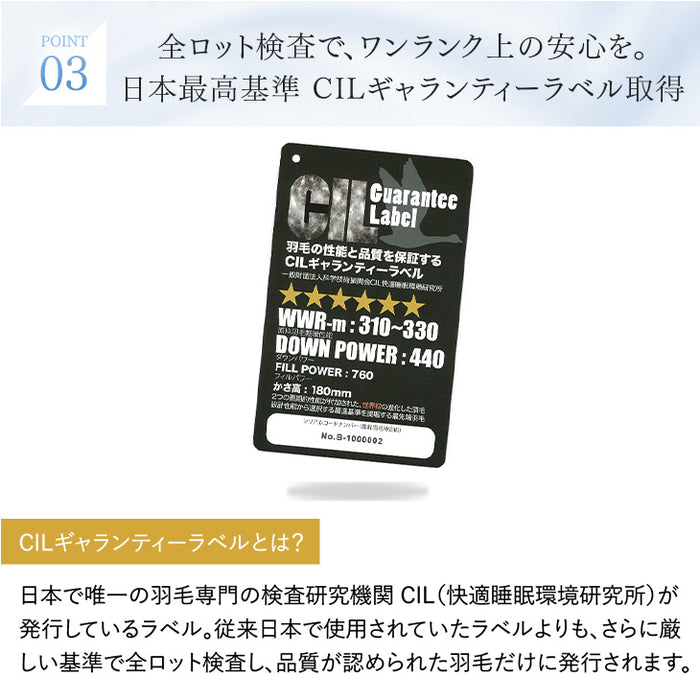 [シングルロング・2枚組]ポーランド産 マザーグース 95% 洗える ダウンケット 日本製 肌掛け布団 羽毛肌掛け布団 夏 夏用 布団〔10119275〕