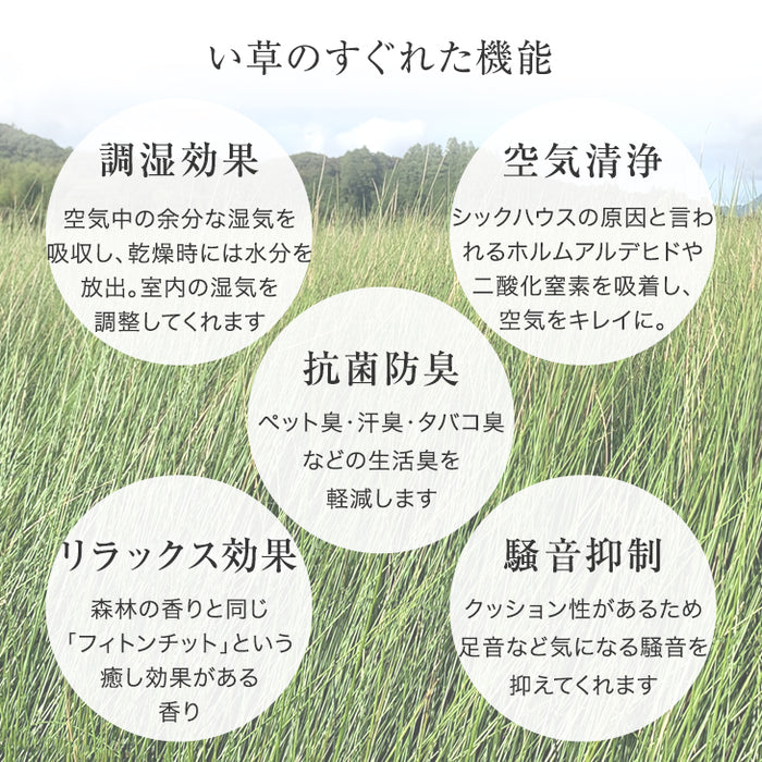 【24枚 厚み1.5cm 4.5畳用】敷くだけカンタン 置き畳 軽量 い草 抗菌 防臭 防音 滑り止め 床暖房対応 琉球畳 和室 賃貸〔86211700〕