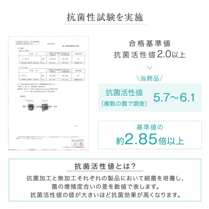 【24枚 厚み1.5cm 4.5畳用】敷くだけカンタン 置き畳 軽量 い草 抗菌 防臭 防音 滑り止め 床暖房対応 琉球畳 和室 賃貸〔86211700〕