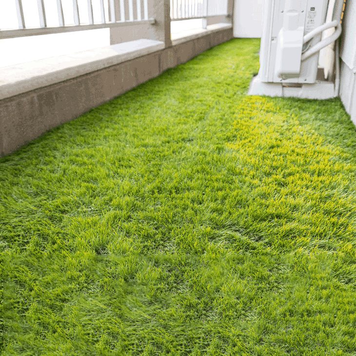 ベランダにお勧め! スリム 高密度リアル 人工芝 芝生 0.5m×10m 芝丈35mm 高密度 幅50cm ロール U字ピン12本 付き〔5 —  【公式】タンスのゲン本店 - 家具・インテリアのネット通販