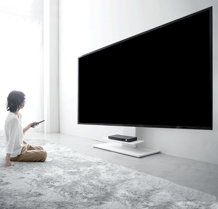 LG 有機ELテレビ55インチ 壁寄せスタンド付き - テレビ