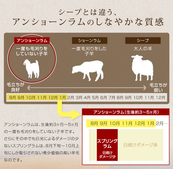 [100×200] ムートンラグ シングル 日本製 抗菌 防ダニ 消臭 短毛 敷パッド〔87250140〕